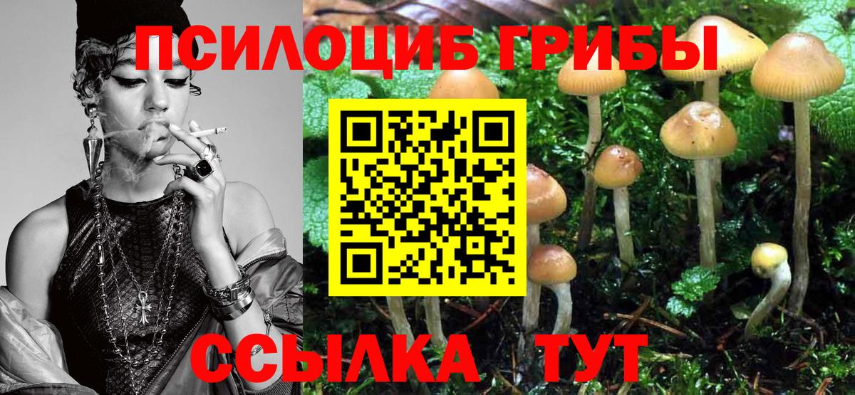Галлюциногенные грибы Magic Shrooms  Вход с VPN  Калининград  Галлюциногенные грибы MAGIC MUSHROOMS 