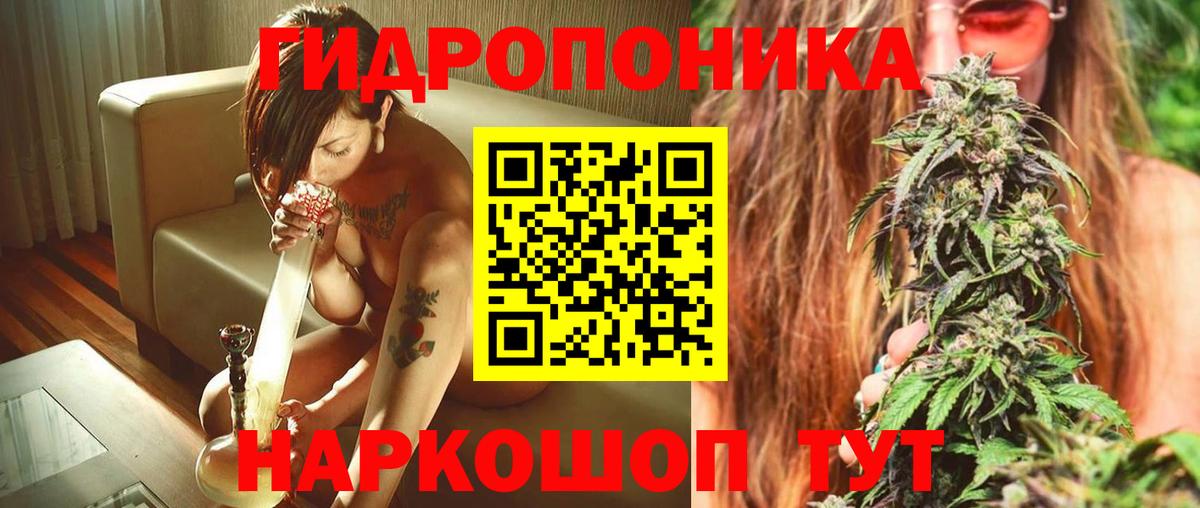 Конопля Bruce Banner  Шишки марихуана сатива  Калининград  МАРИХУАНА марихуана  Вход с VPN 
